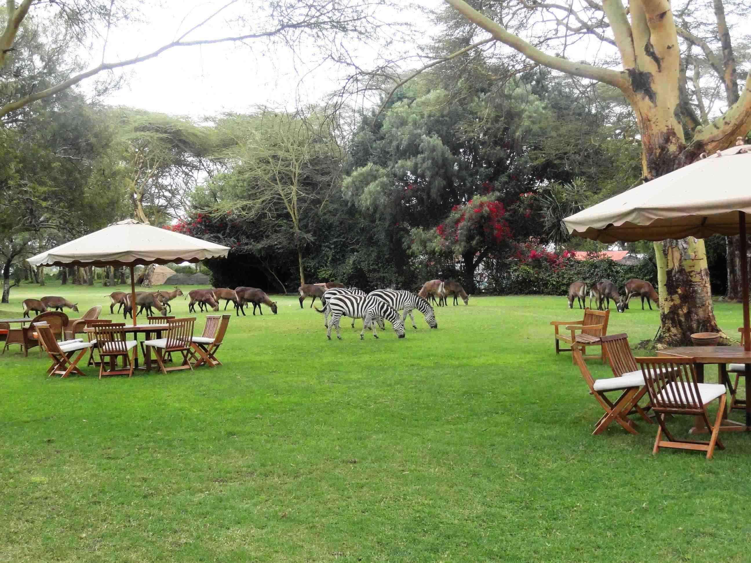 Muthu Lake Naivasha Country Club, Naivasha Karagite Ngoại thất bức ảnh